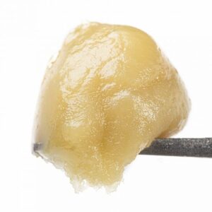 buy Papaya live rosin